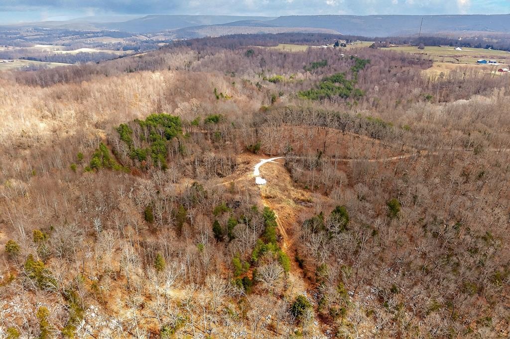0 Sugar Camp Rd Property Photo 9