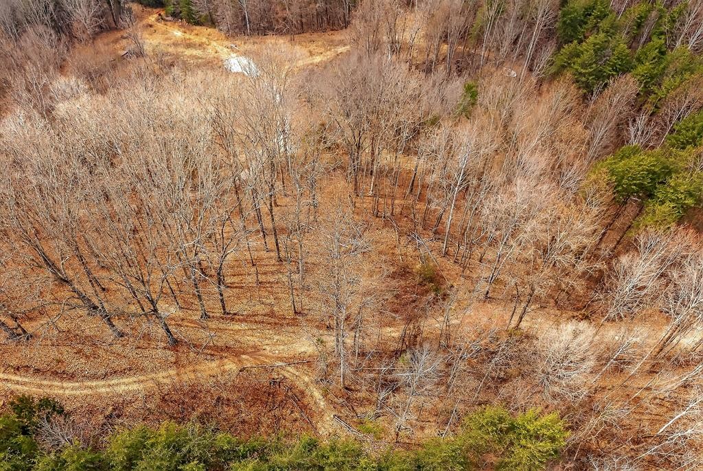 0 Sugar Camp Rd Property Photo 14