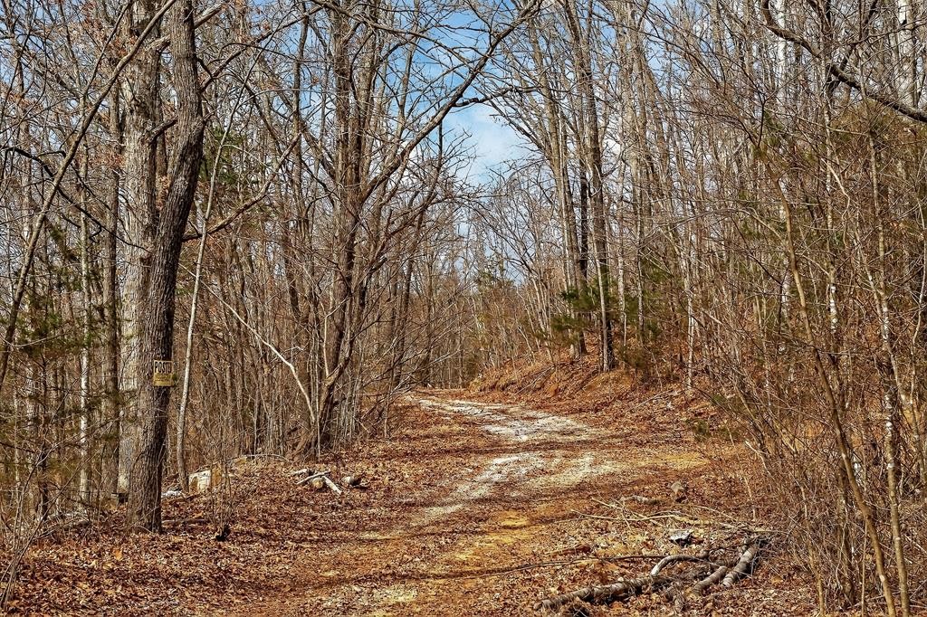 0 Sugar Camp Rd Property Photo 22