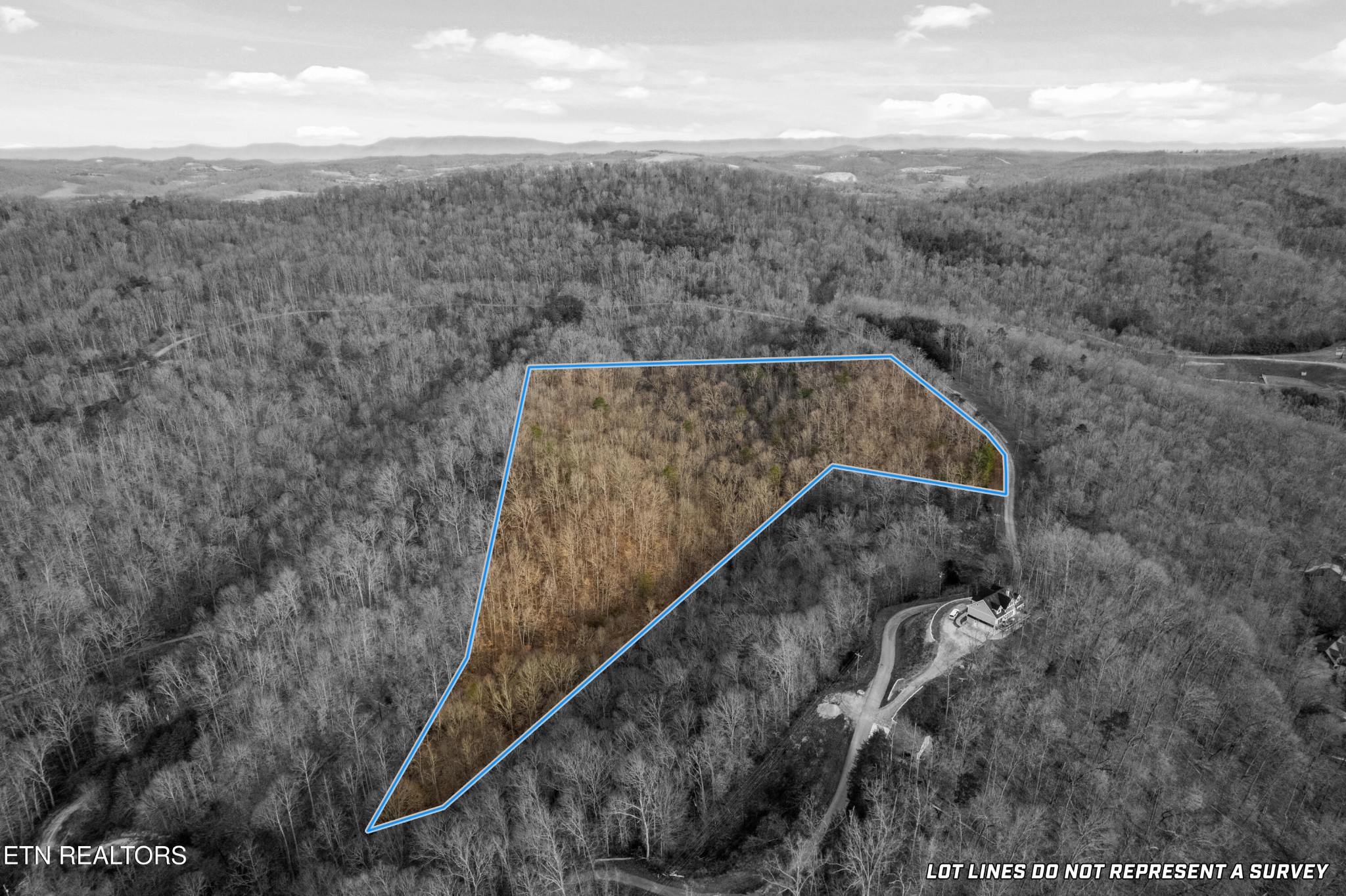 45 Walleye Point Property Photo 1