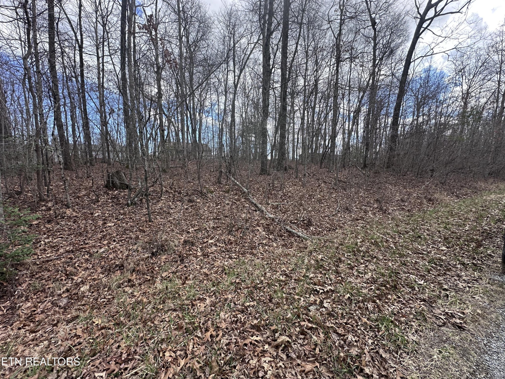 0 Tama Trace Property Photo 2