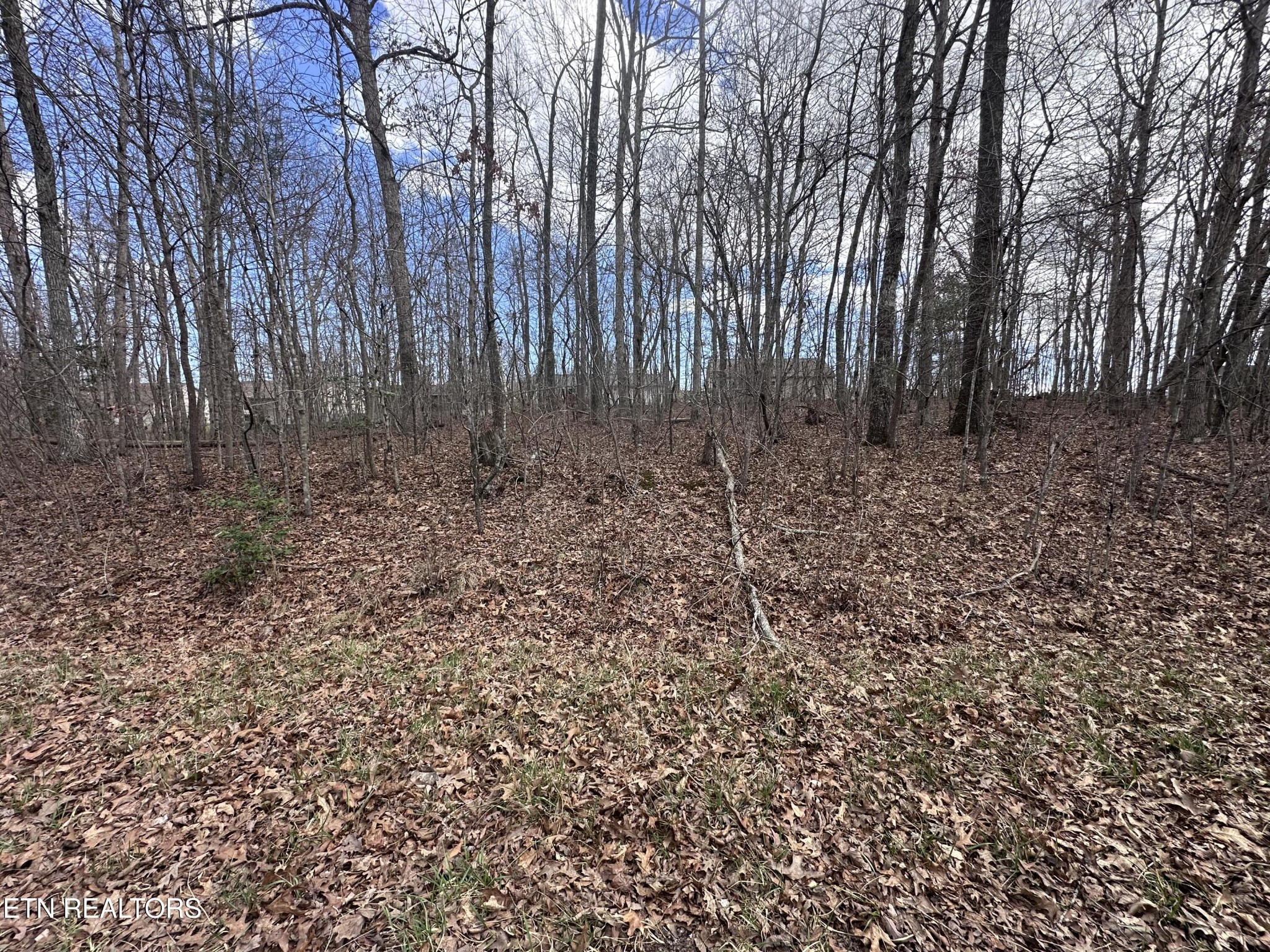 0 Tama Trace Property Photo 3