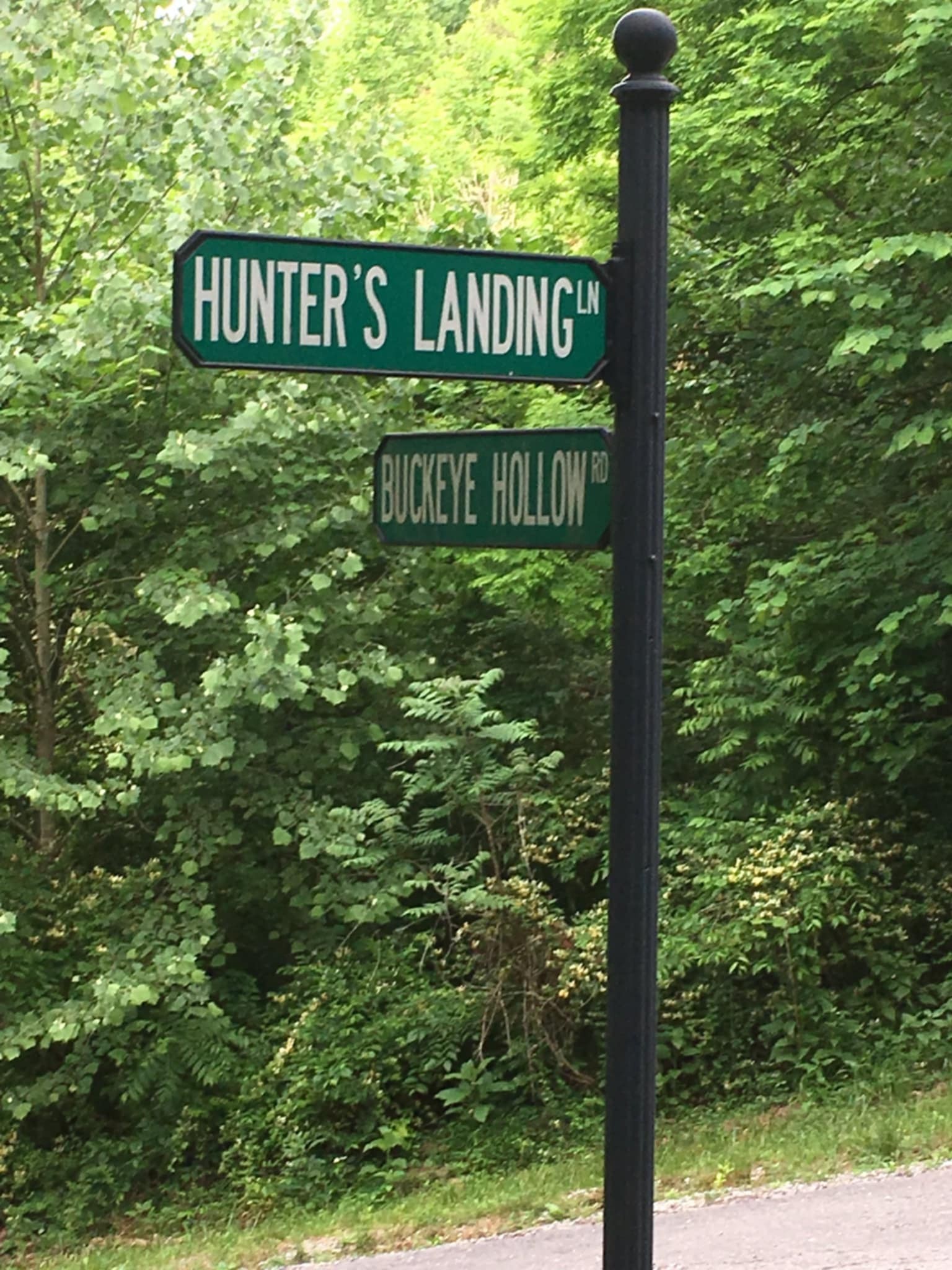 0 Hunters Landing Ln Property Photo 1