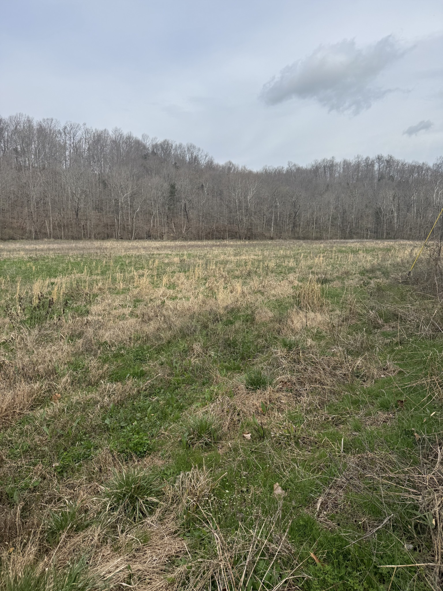 1234 Puncheon Creek Road Property Photo 1
