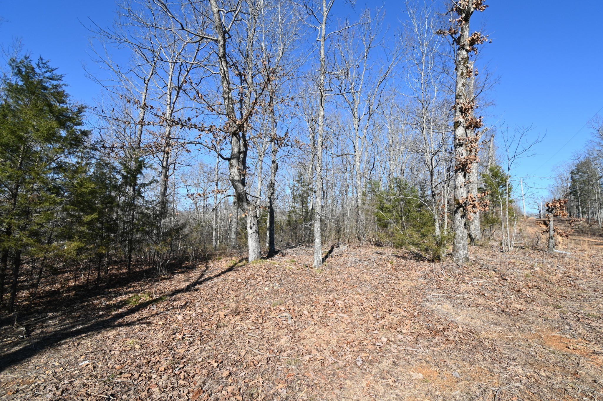 130 Wyatt Lane Property Photo 2