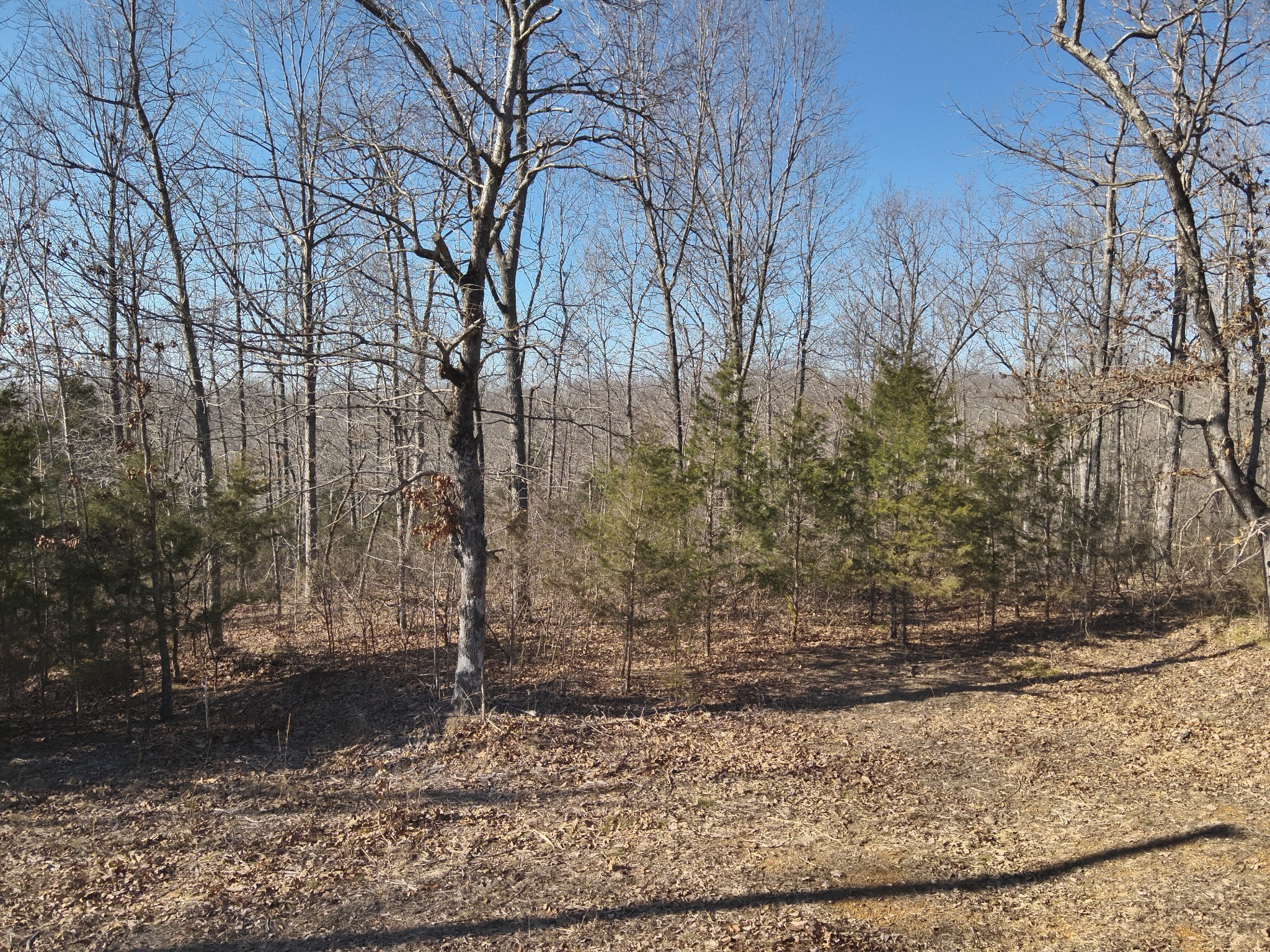 146 Wyatt Lane