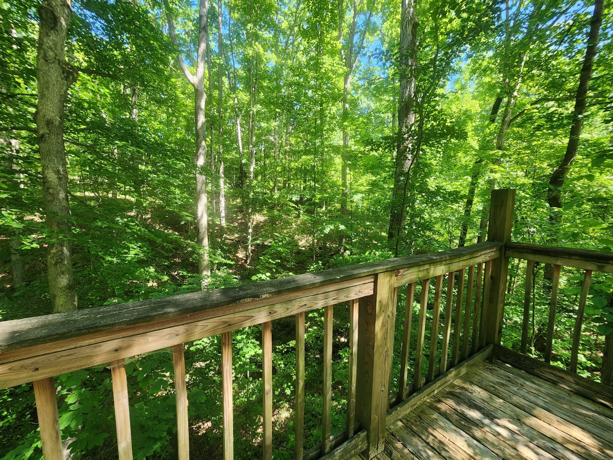 932 Hayes Rd Property Photo 14