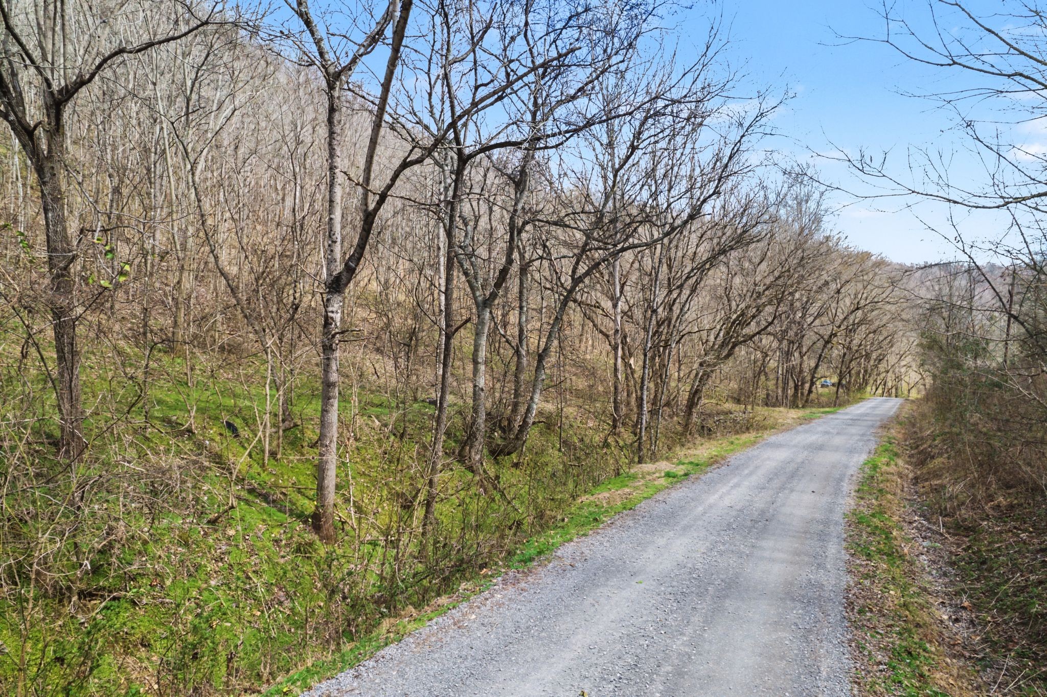 0 Buckeye Hollow Road Property Photo 1