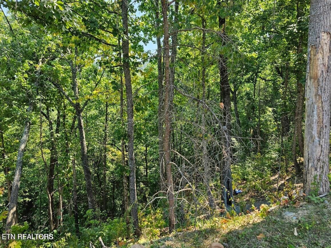 13 Villa Ridge Place Property Photo 1