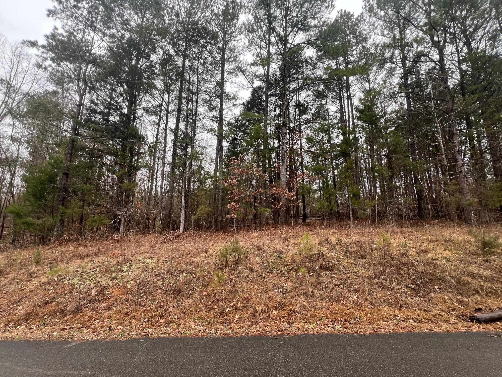 156 Iron Horse Trl Property Photo 1