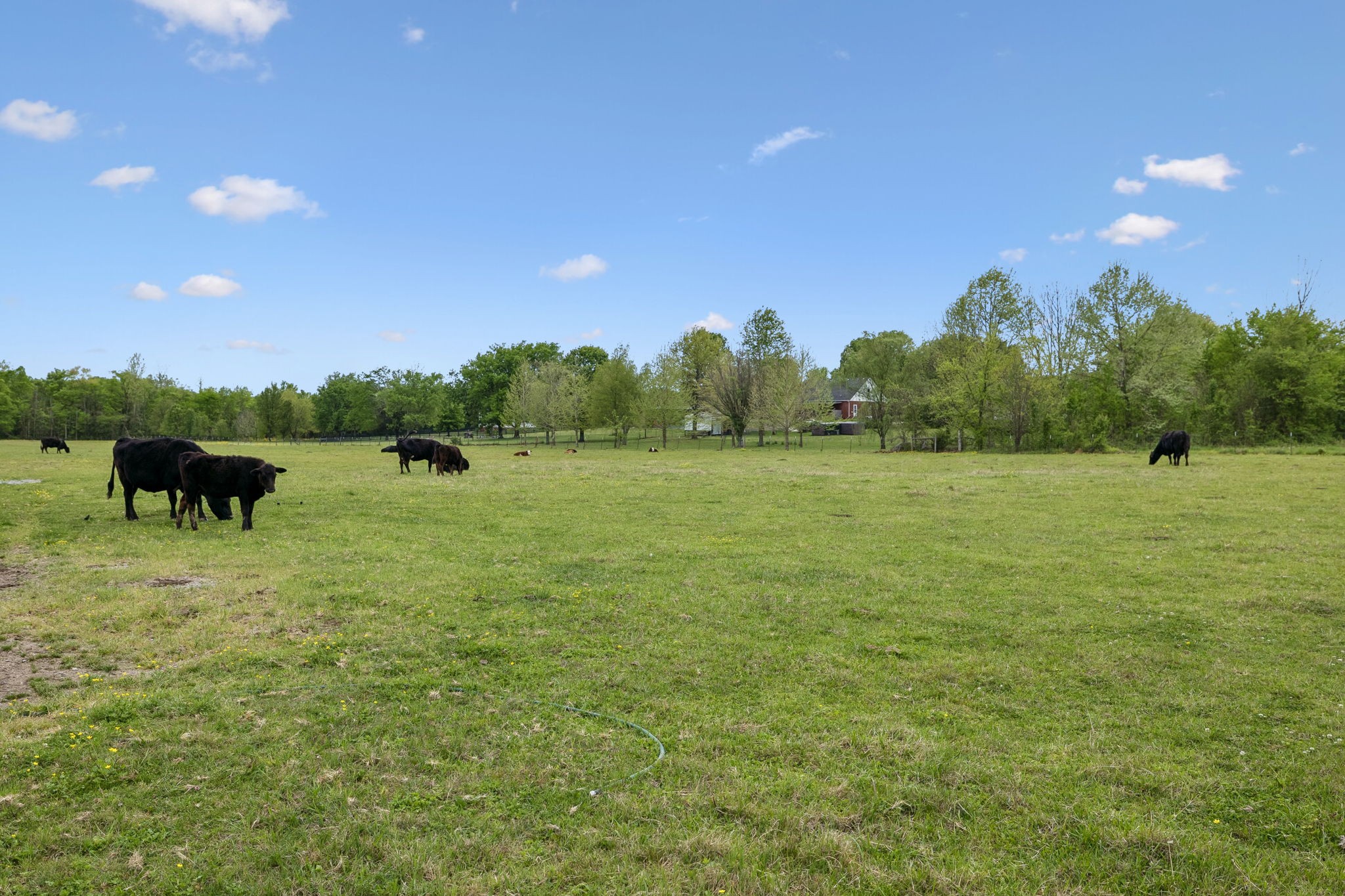 2575 Mount Vernon Rd Property Photo 30