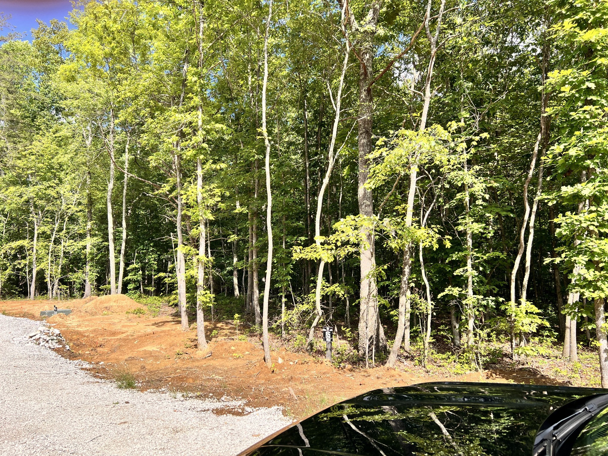 72 Lady Slipper Lane Property Photo 12