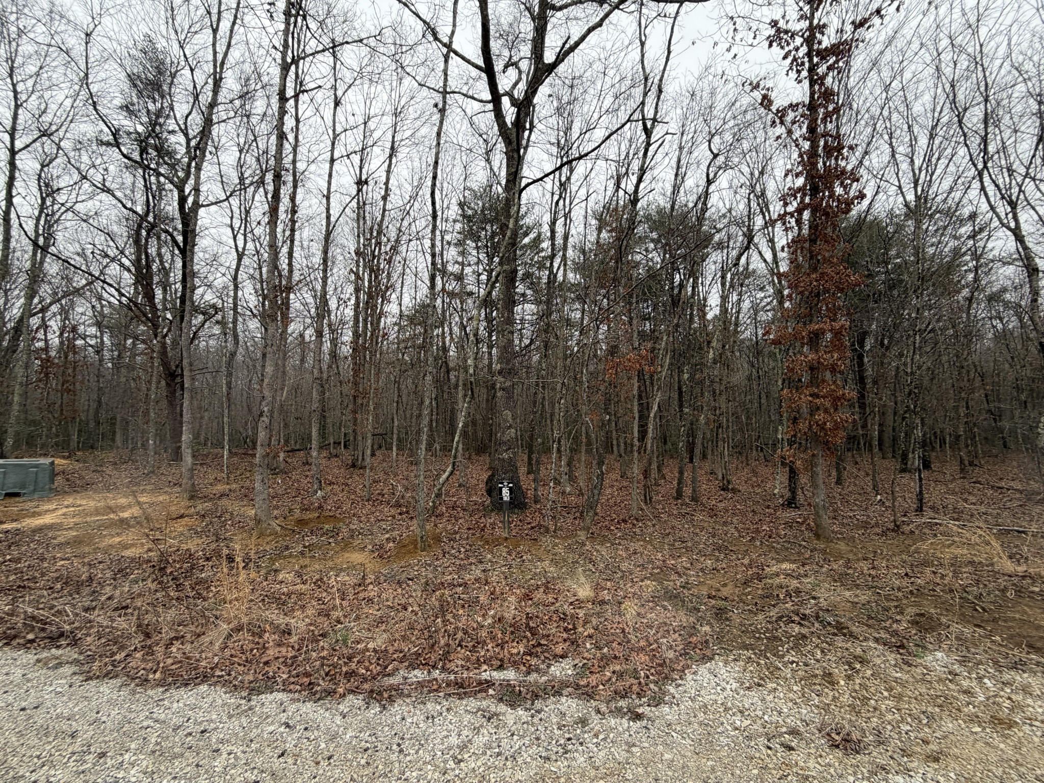 72 Lady Slipper Lane Property Photo 13