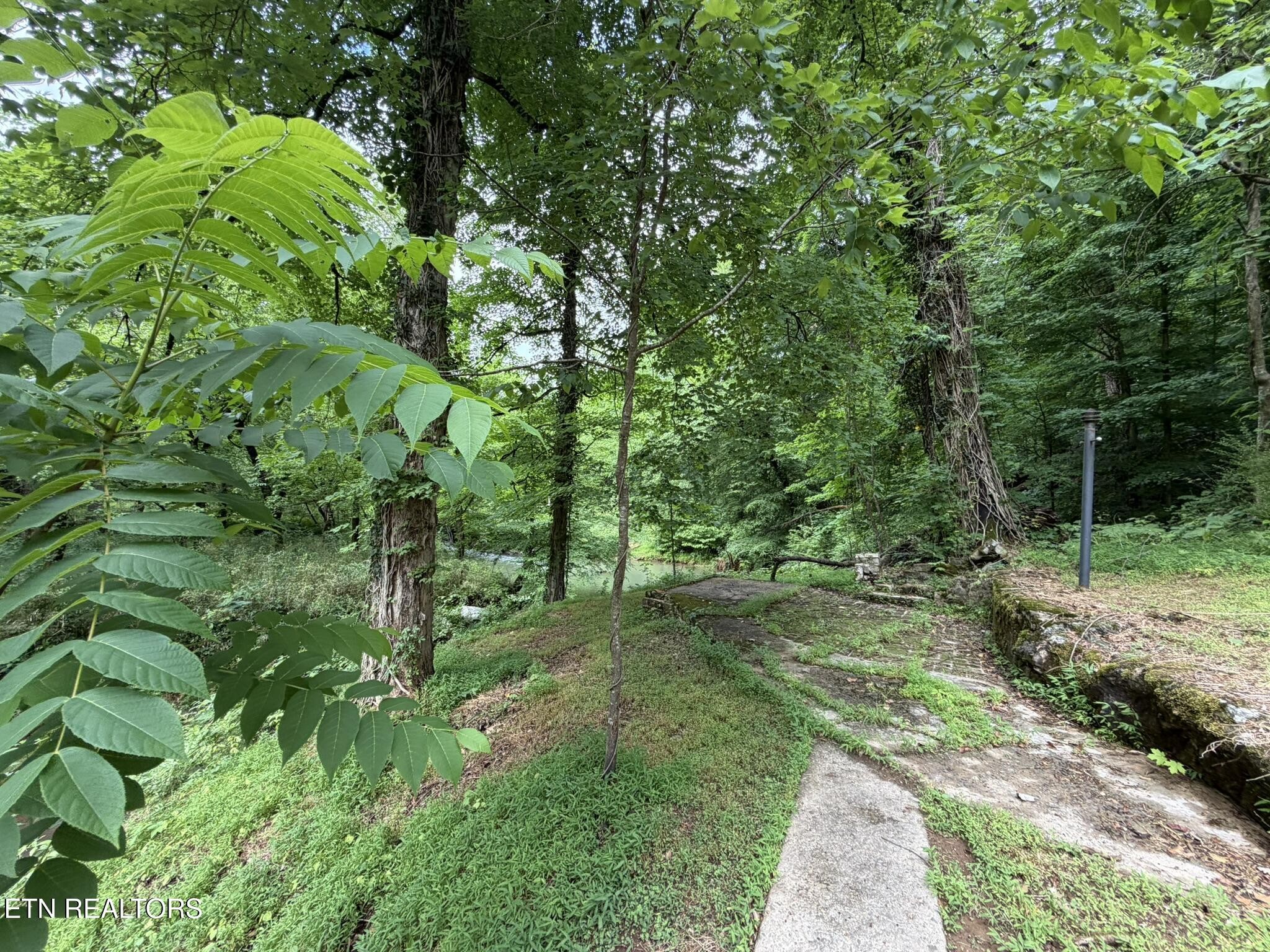 507 Short St Property Photo 41