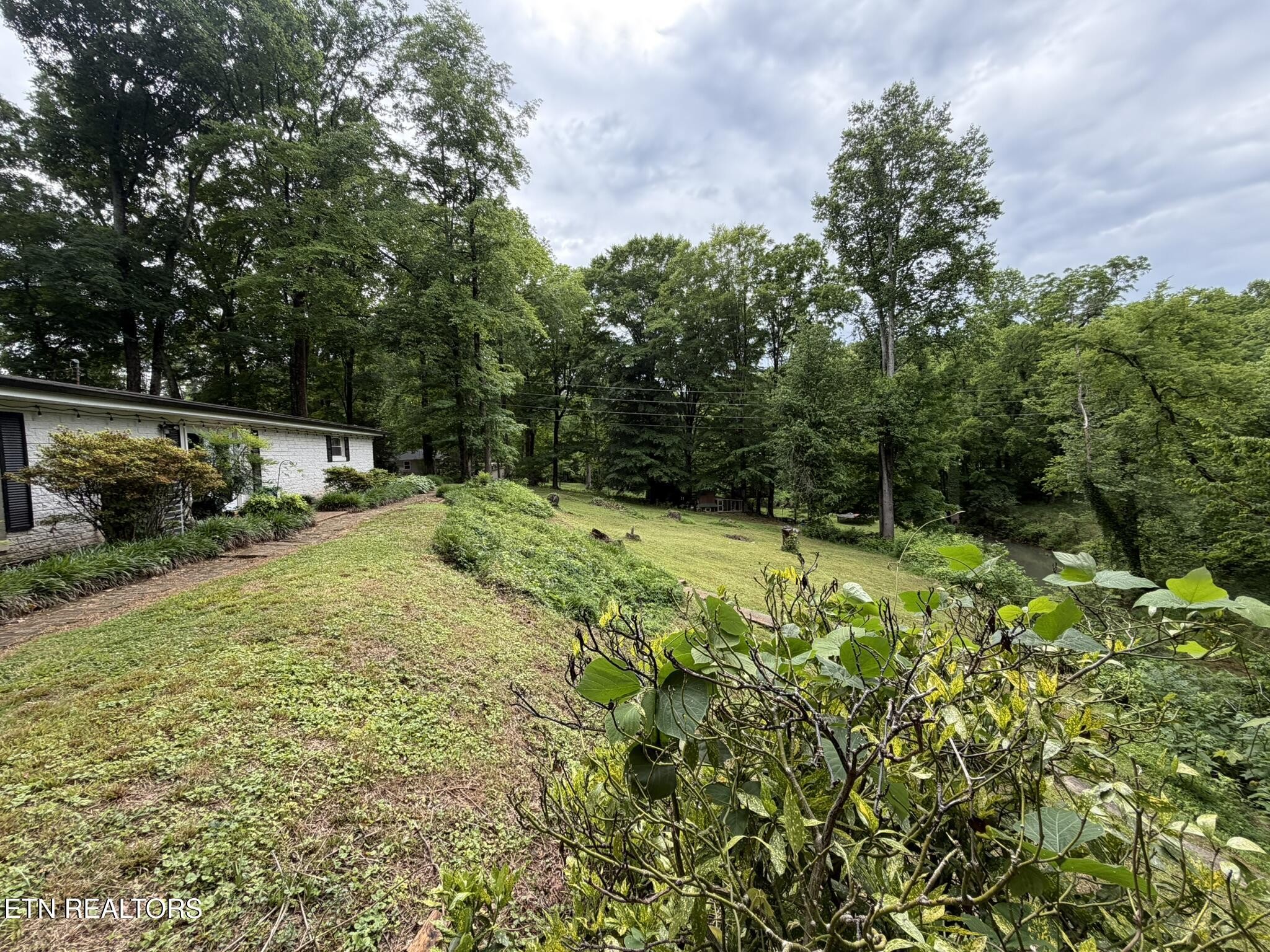 507 Short St Property Photo 42