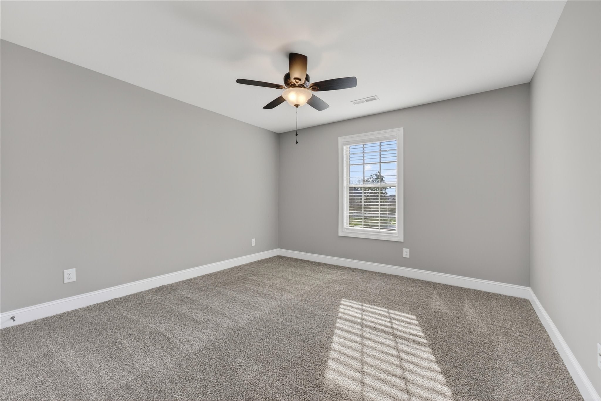 161 Roanoke Station Cir Property Photo 29