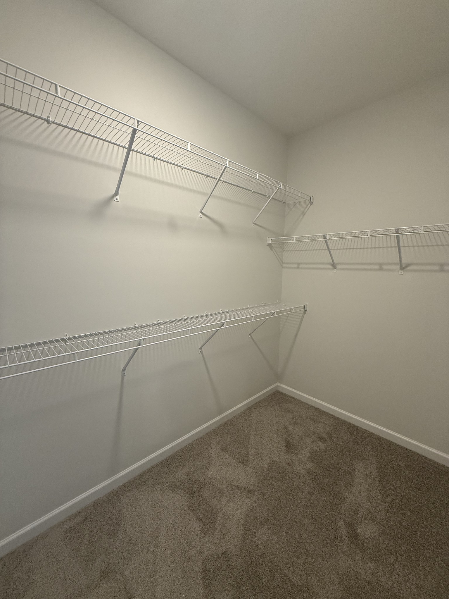 110 Watershed Court Property Photo 15