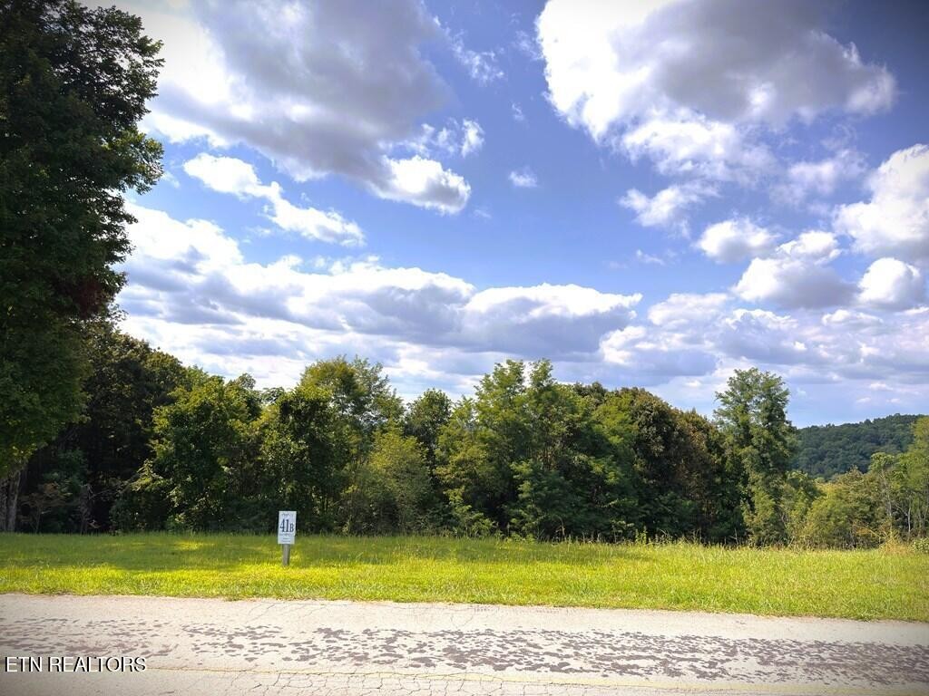 41 Bald Eagle Rd Property Photo 15