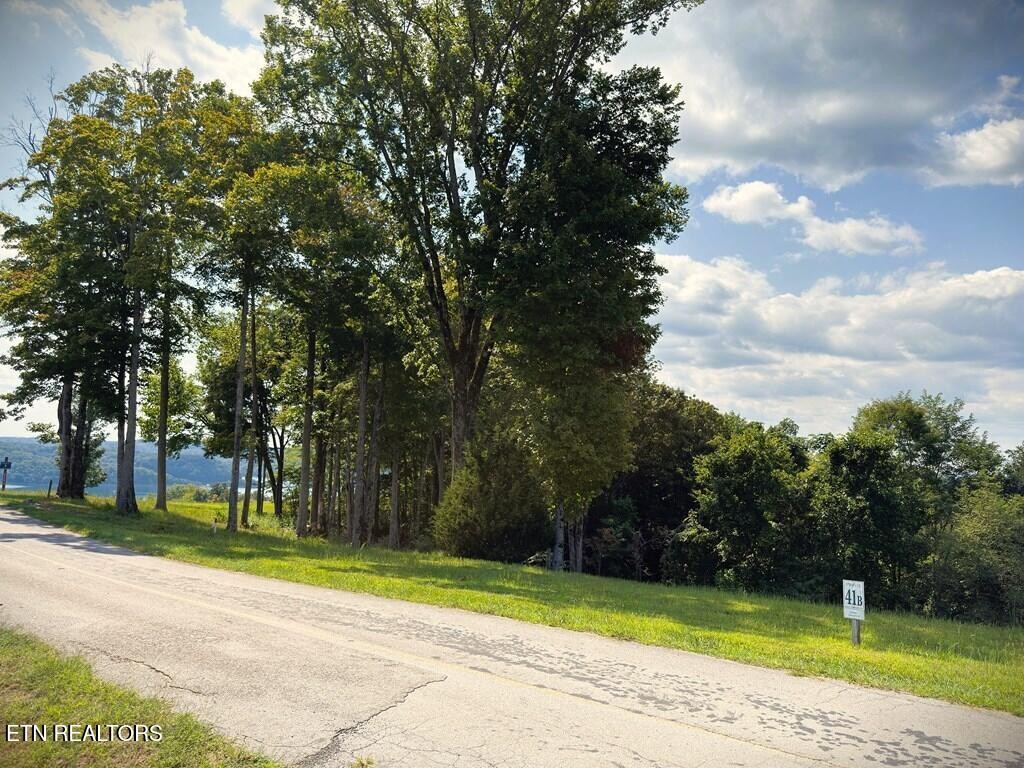 41 Bald Eagle Rd Property Photo 16