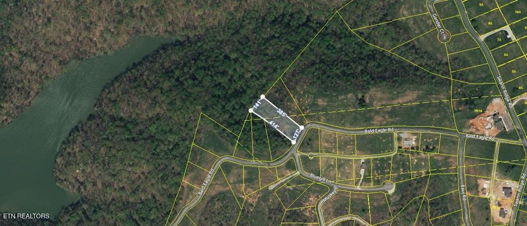 41 Bald Eagle Rd Property Photo 20