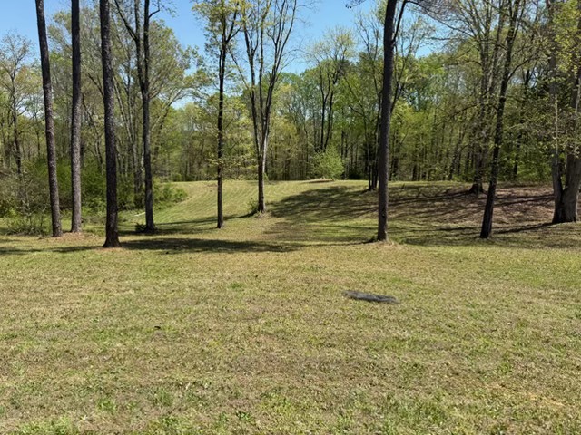534 Whitney Branch Rd Property Photo 1