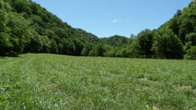 5155 Brimstone Creek Rd Property Photo 1