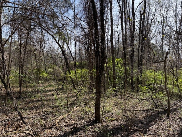 0 Shellsford Rd Property Photo 12