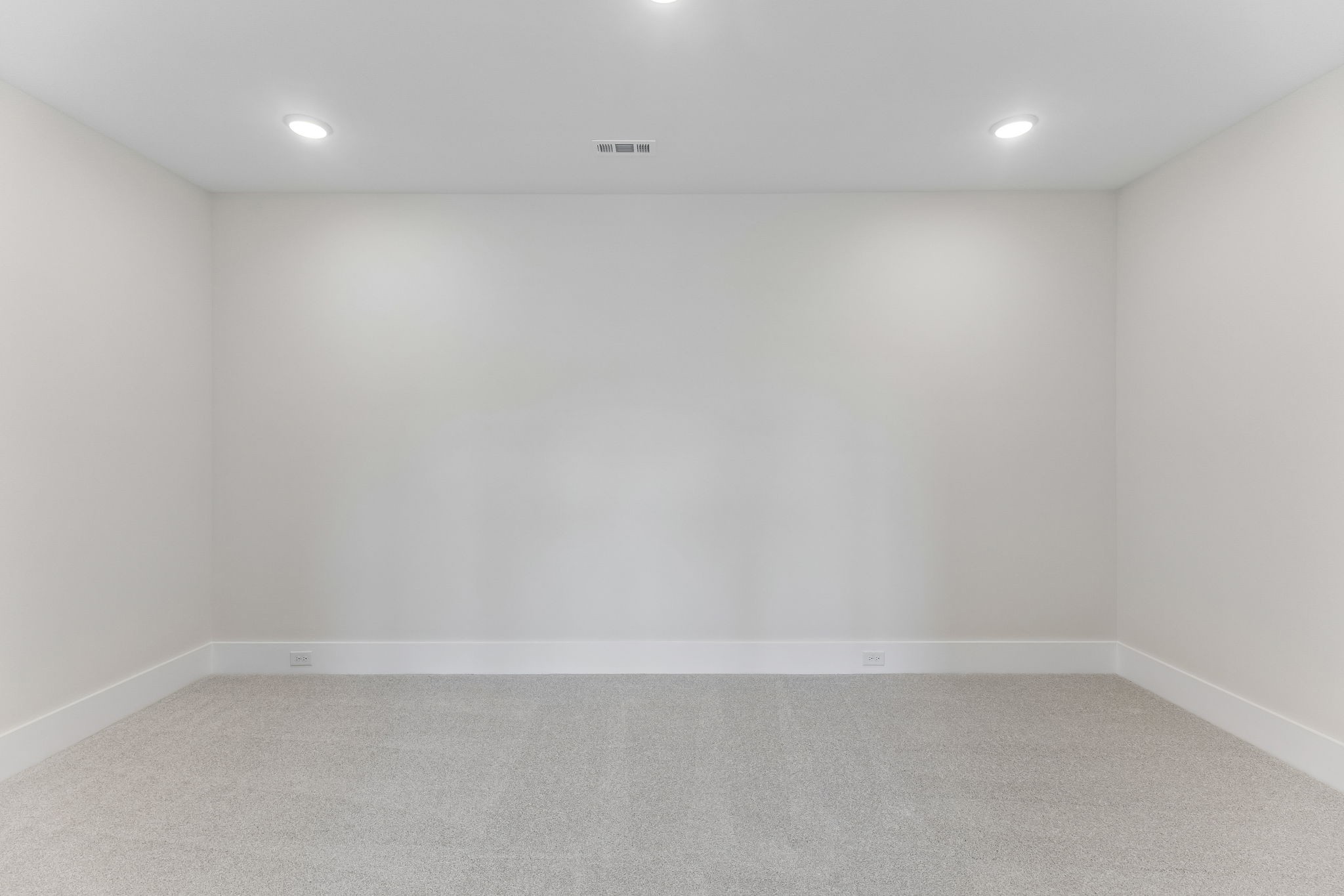 1005 Willow Ridge Drive Property Photo 44