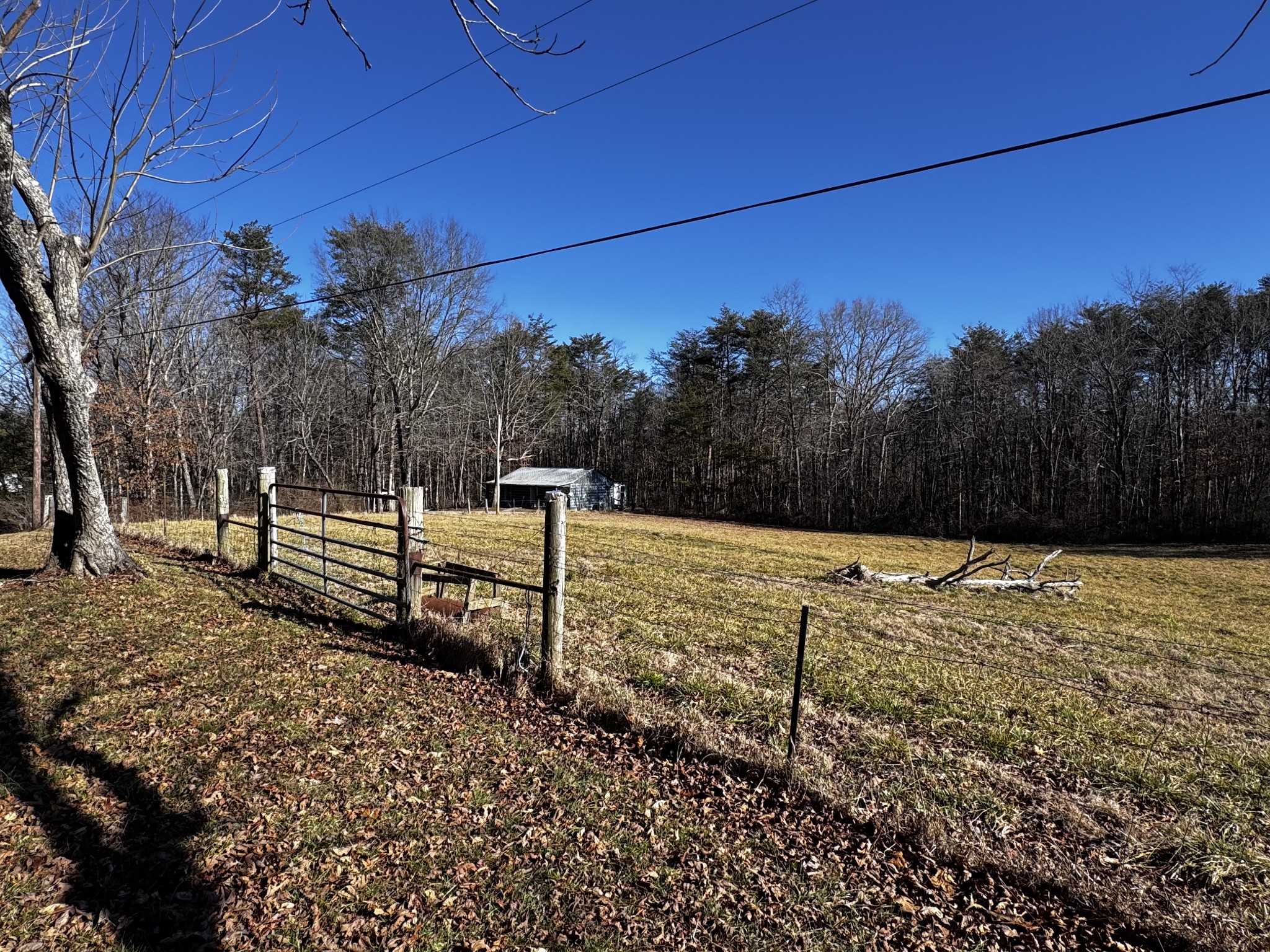 829 Sr 399 Property Photo 5