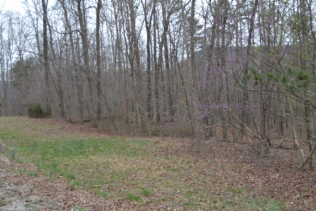 0 Cheyenne Drive Property Photo 1