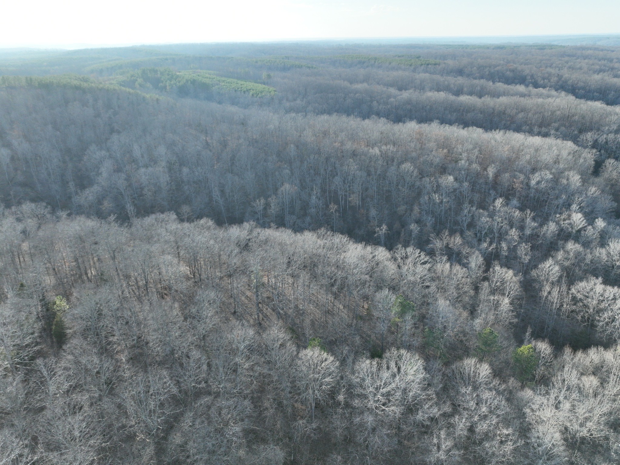 1356 Upper Standing Rock Rd Property Photo 2
