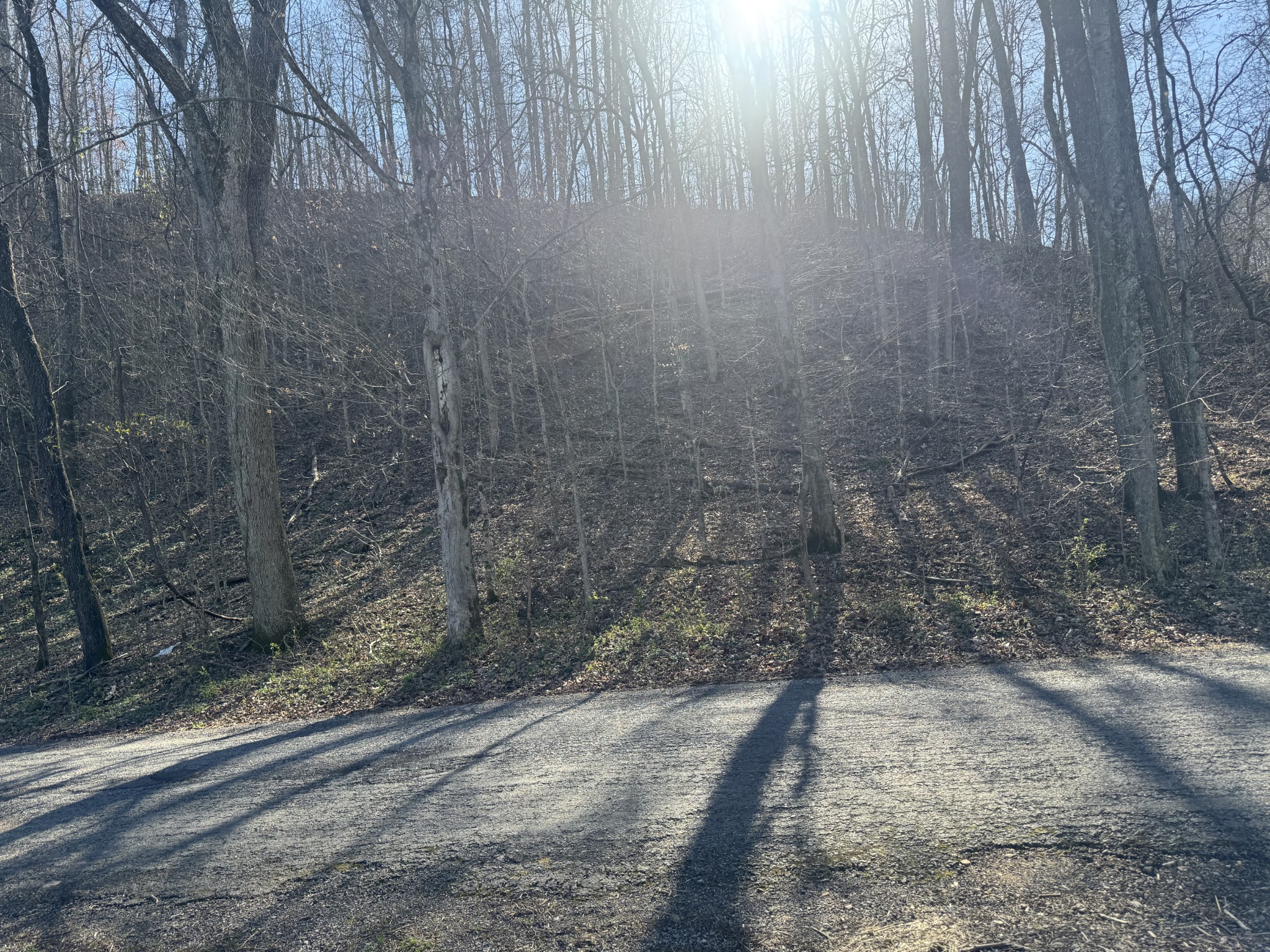 1356 Upper Standing Rock Rd Property Photo 4