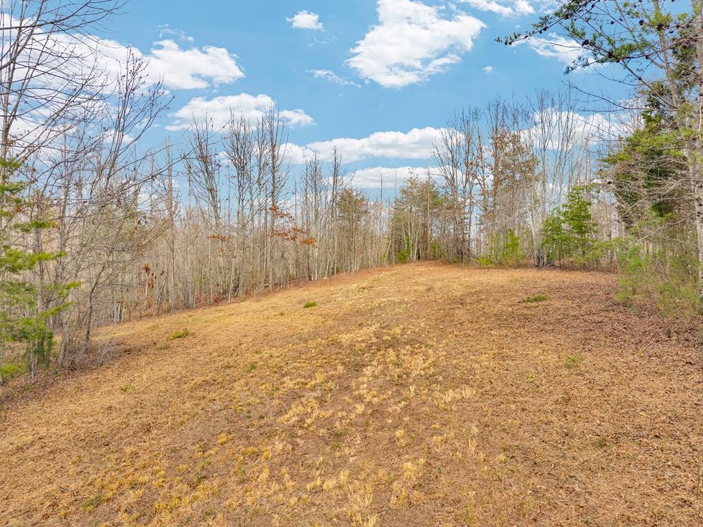 0 Soak Creek Ln Property Photo 1