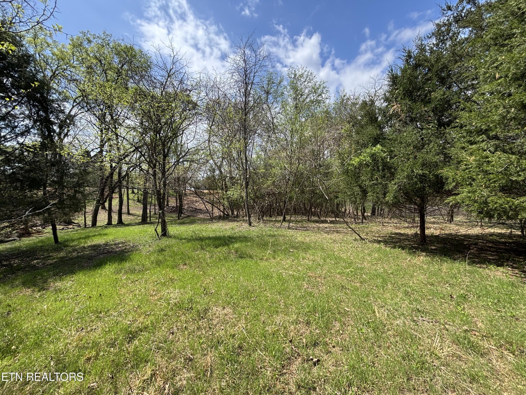 0 E Shore Drive Property Photo 1