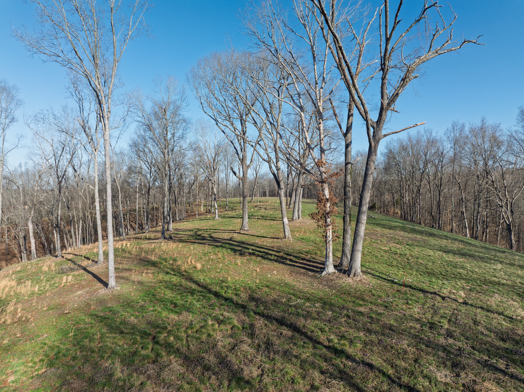 4648 Love Branch Rd Property Photo 8