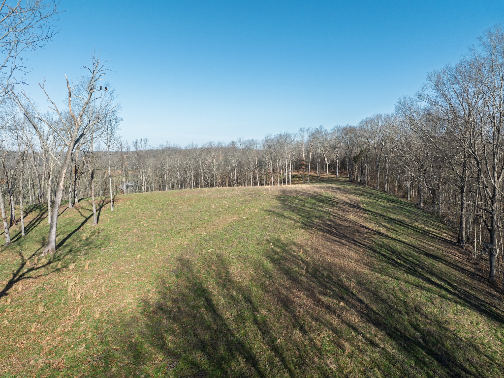 4648 Love Branch Rd Property Photo 10
