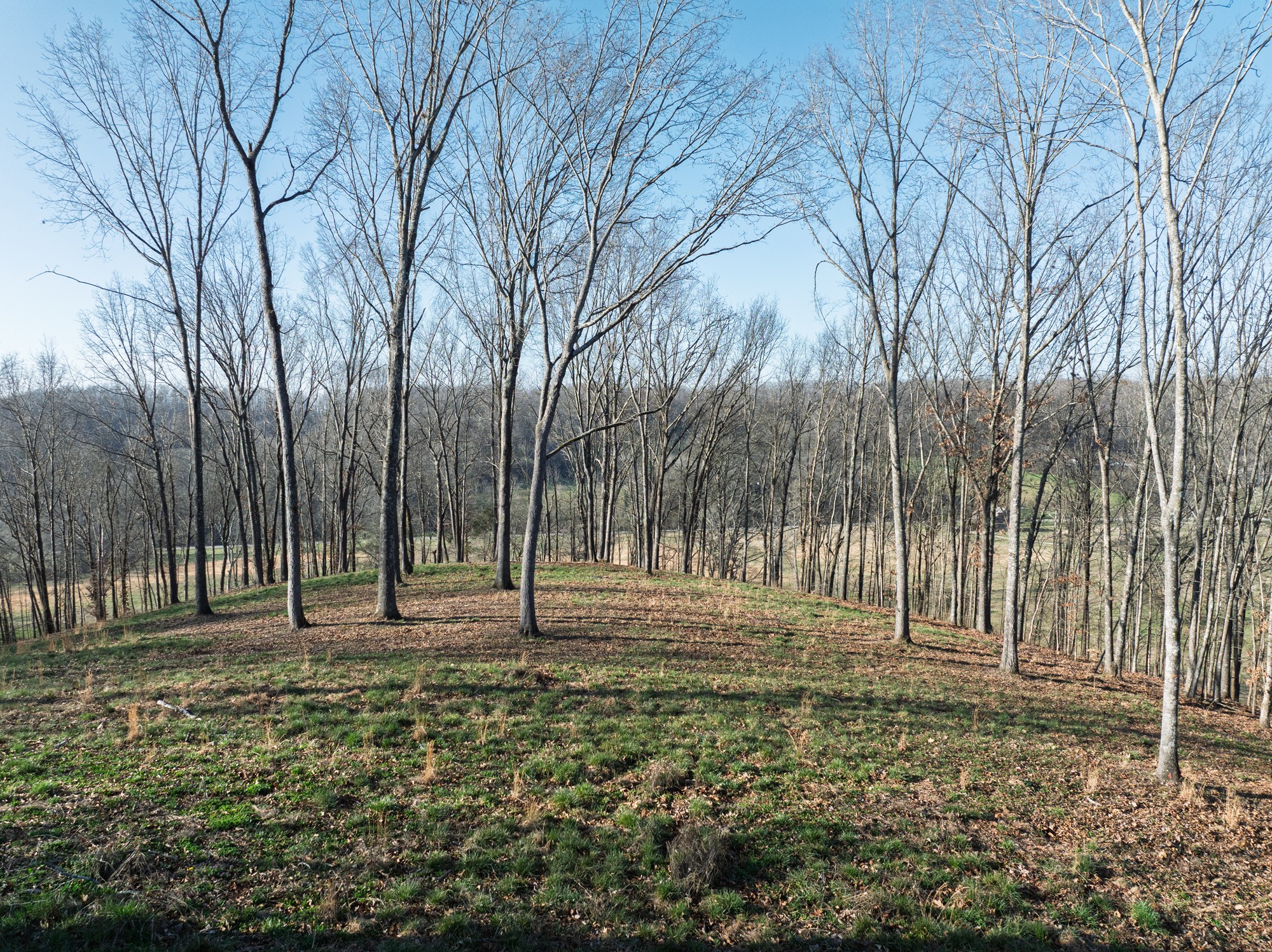 4648 Love Branch Rd Property Photo 11
