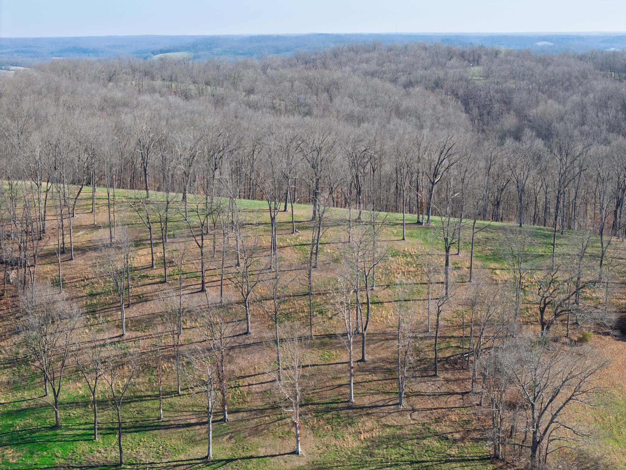 4648 Love Branch Rd Property Photo 14