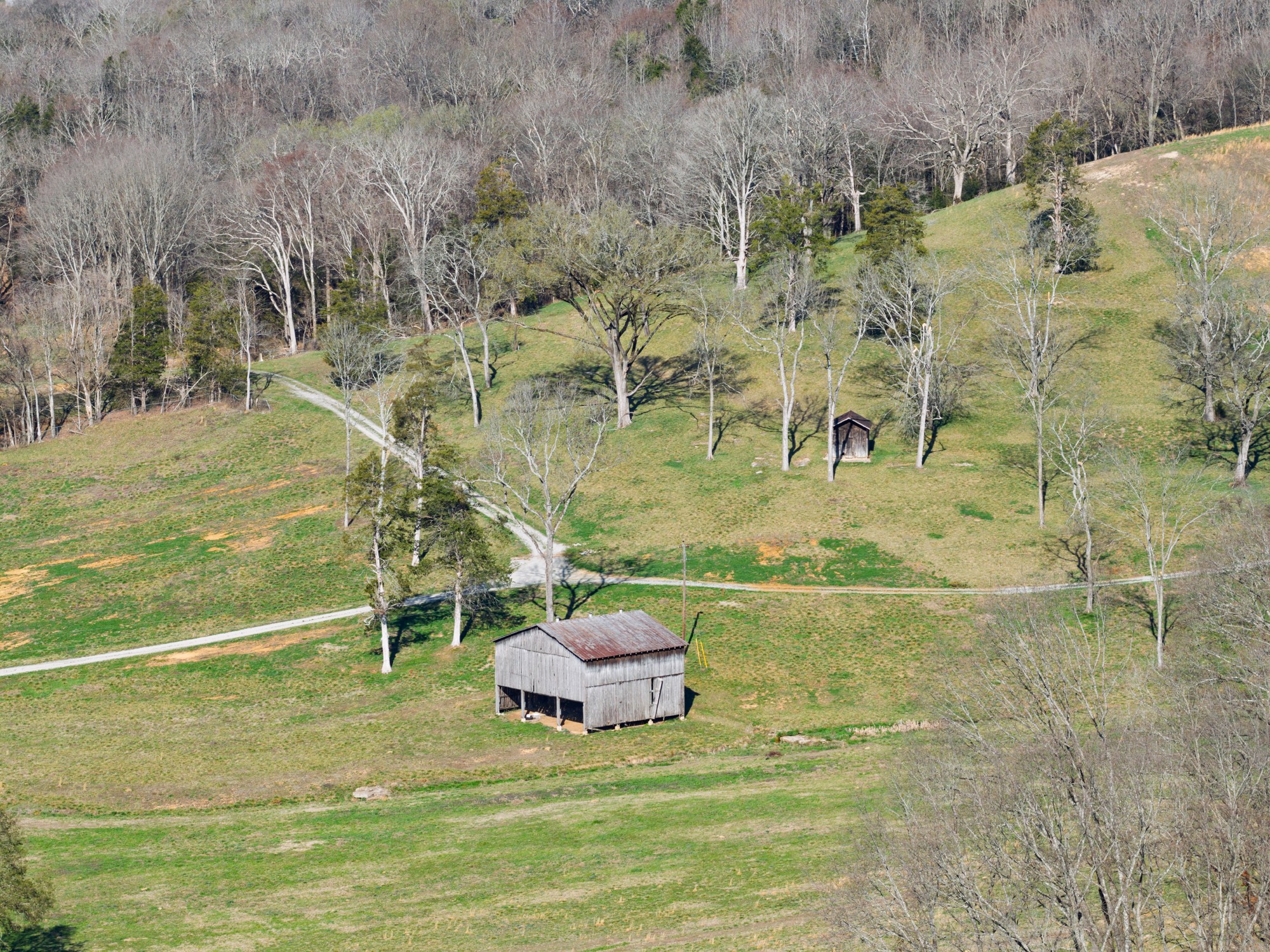 4648 Love Branch Rd Property Photo 15