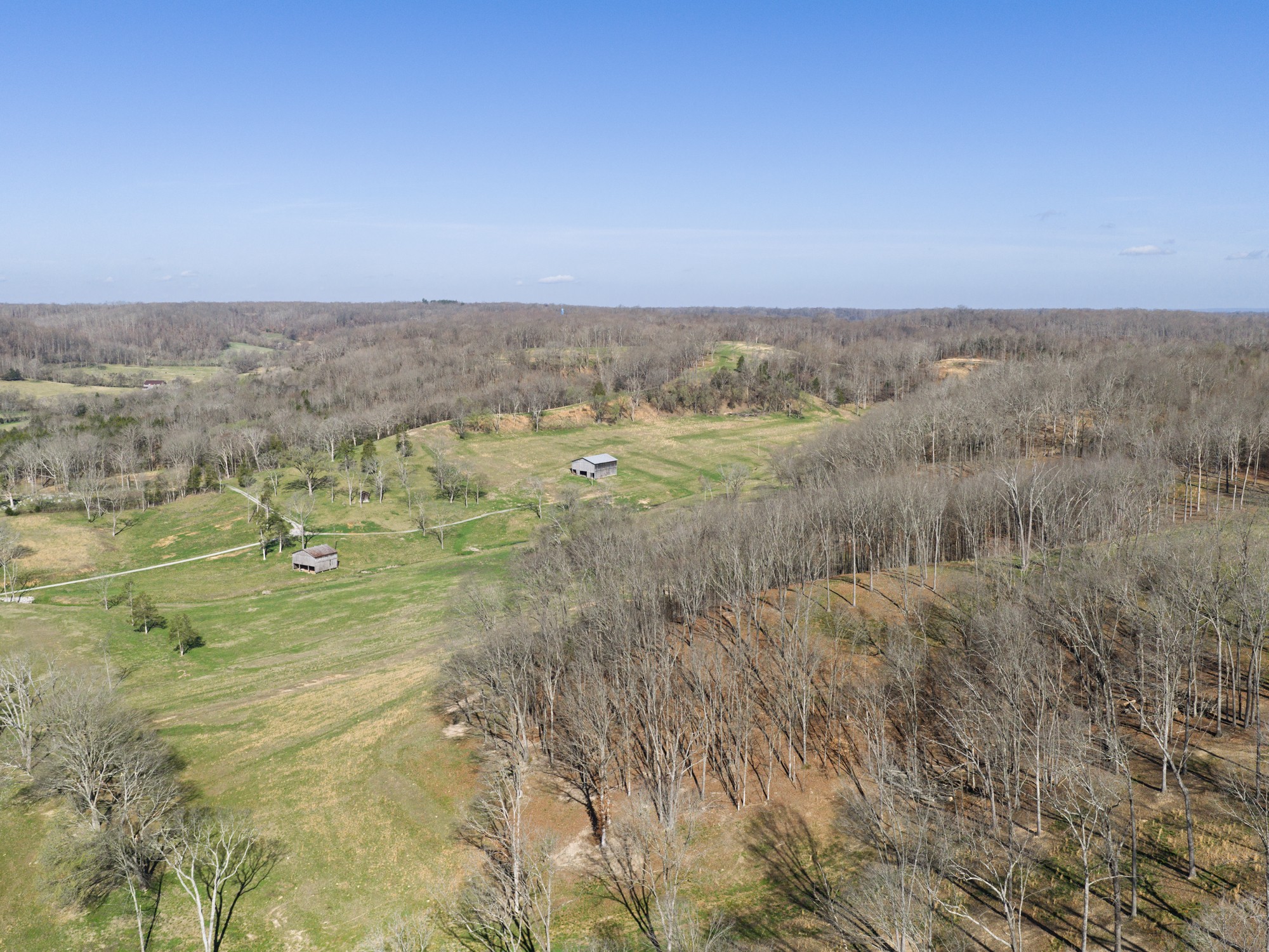 4648 Love Branch Rd Property Photo 16
