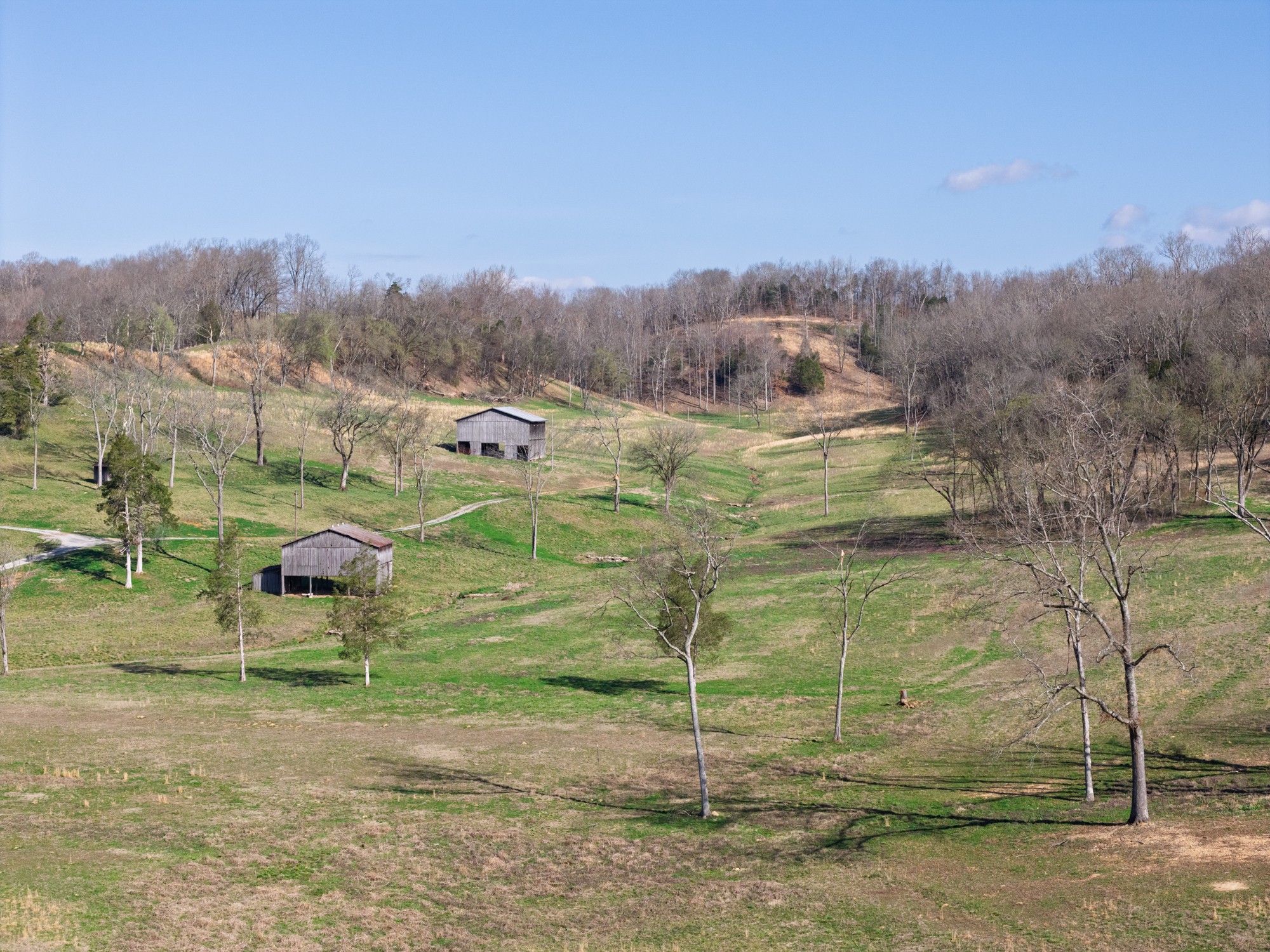 4648 Love Branch Rd Property Photo 17
