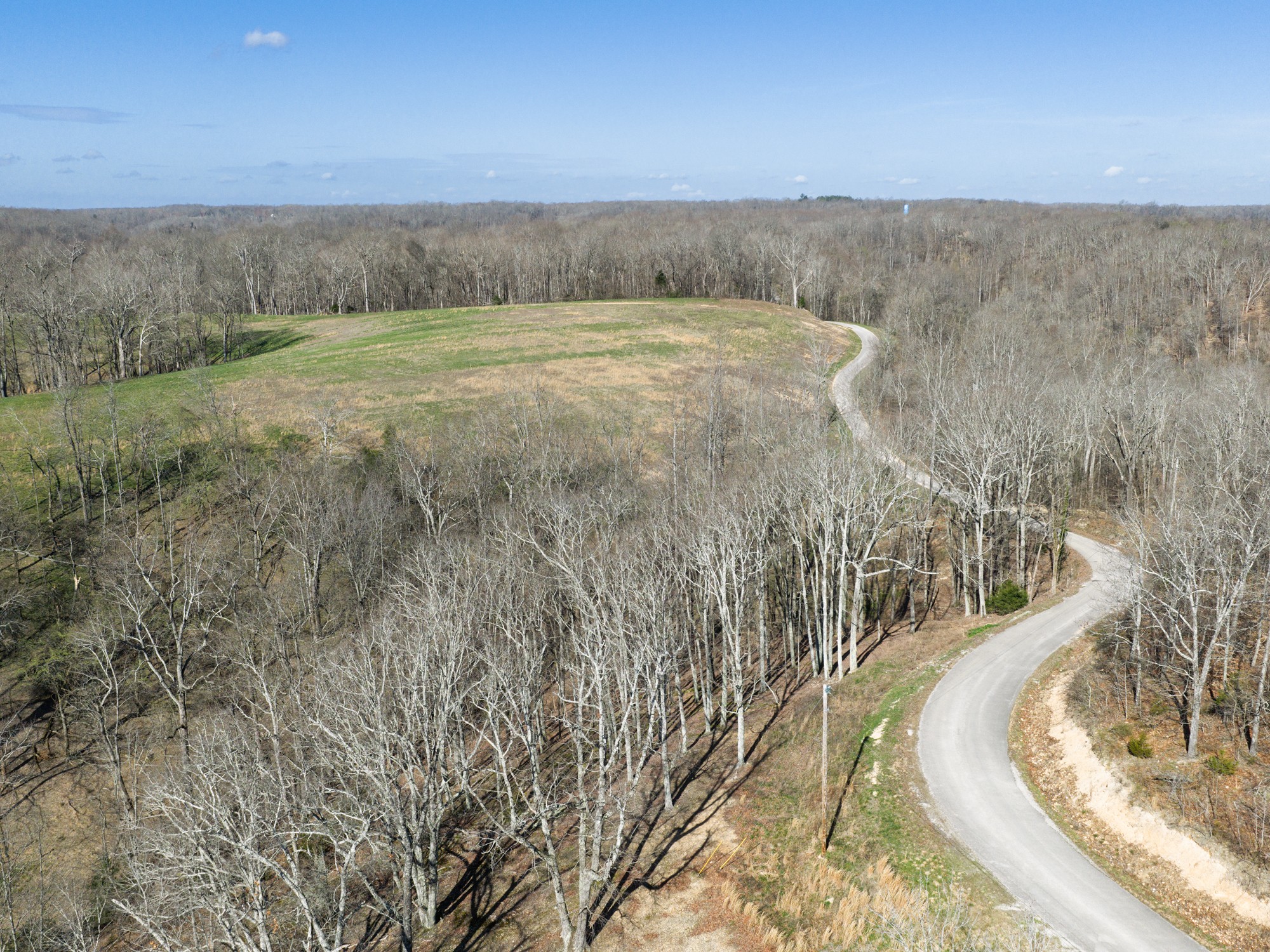 4648 Love Branch Rd Property Photo 21