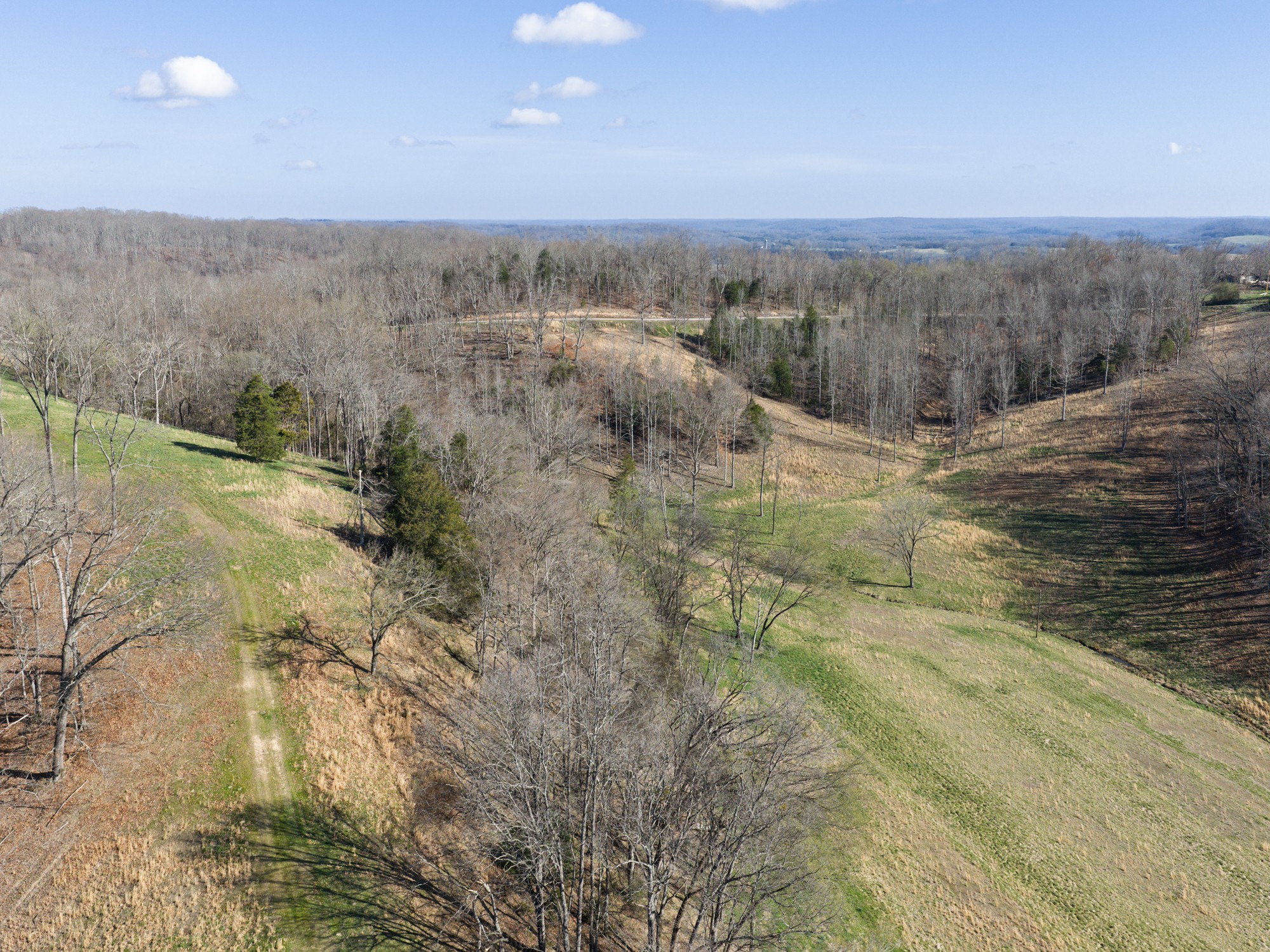 4648 Love Branch Rd Property Photo 22