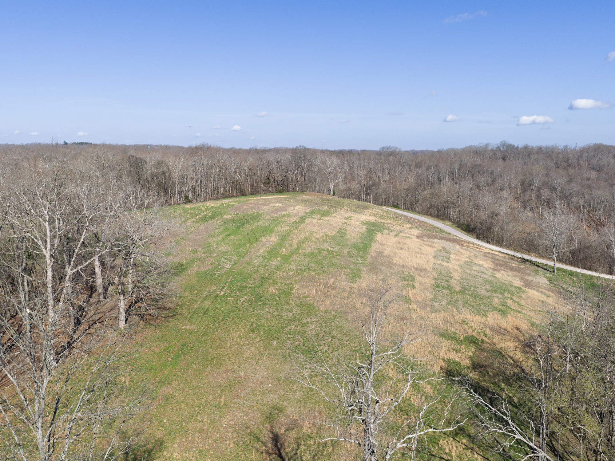 4648 Love Branch Rd Property Photo 23