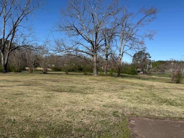 1019 Pickwick St Property Photo 1