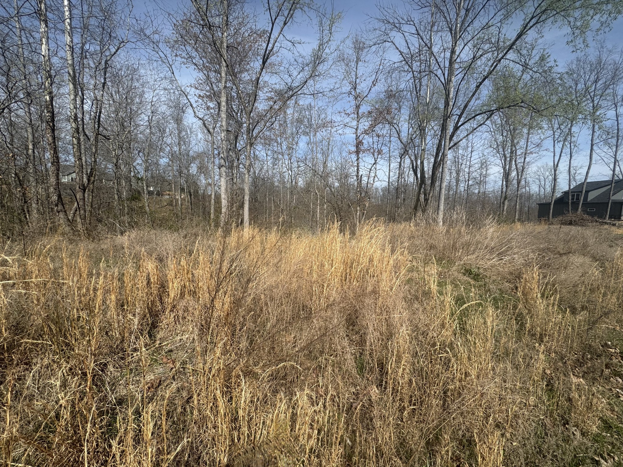 0 Ridgeway Drive Property Photo 1