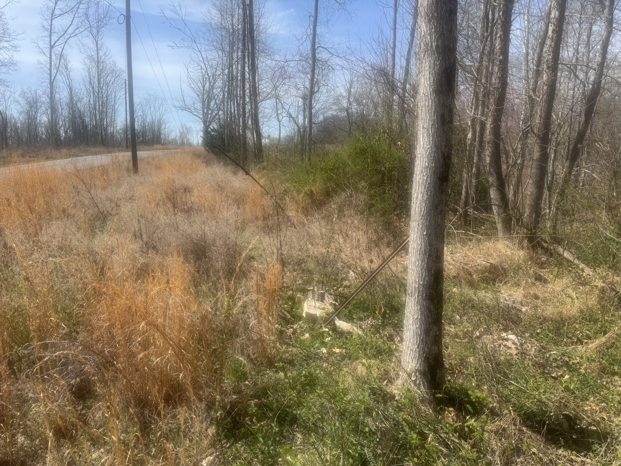0 Ridgeway Drive Property Photo 2