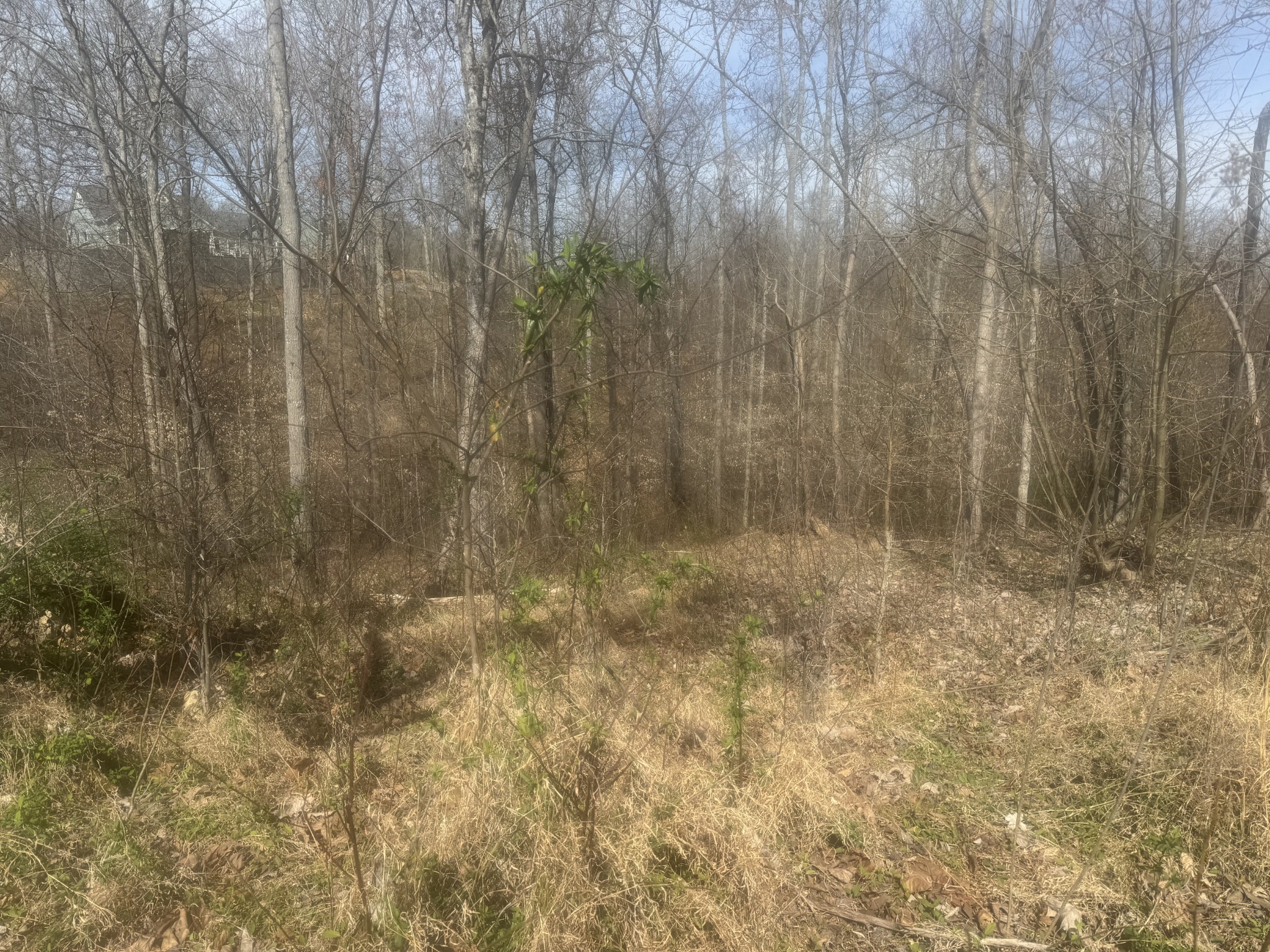 0 Ridgeway Drive Property Photo 3