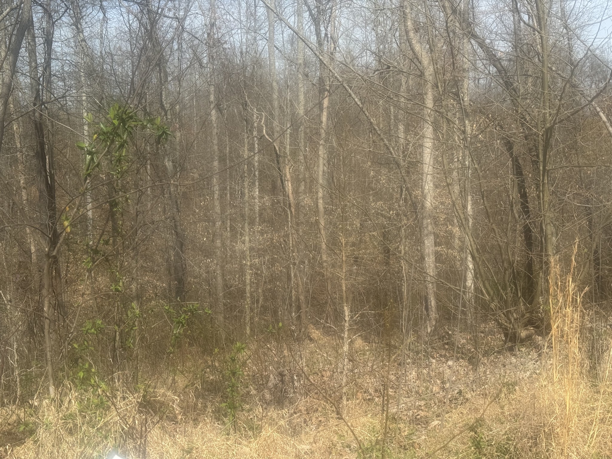 0 Ridgeway Drive Property Photo 4