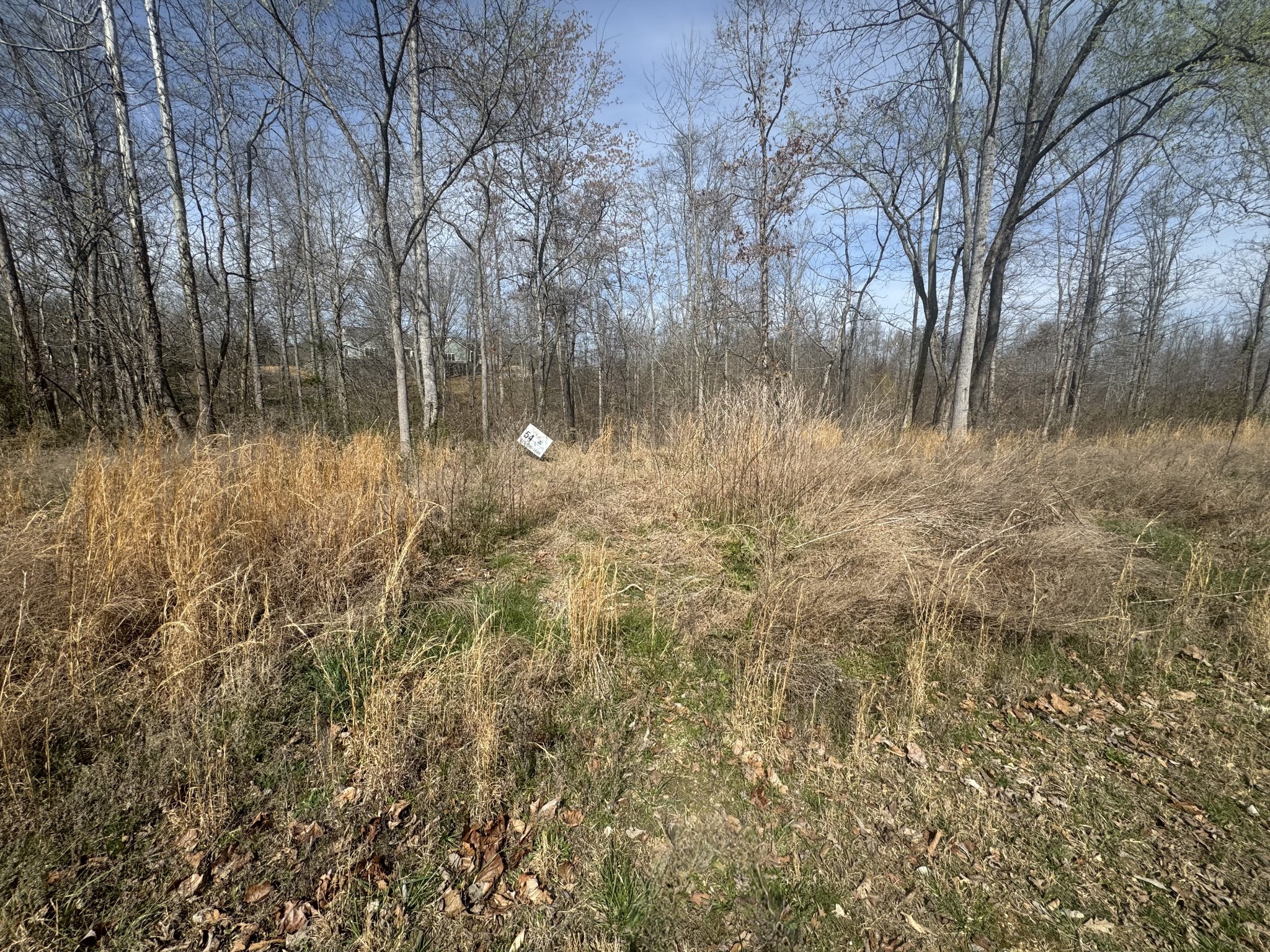 0 Ridgeway Drive Property Photo 5